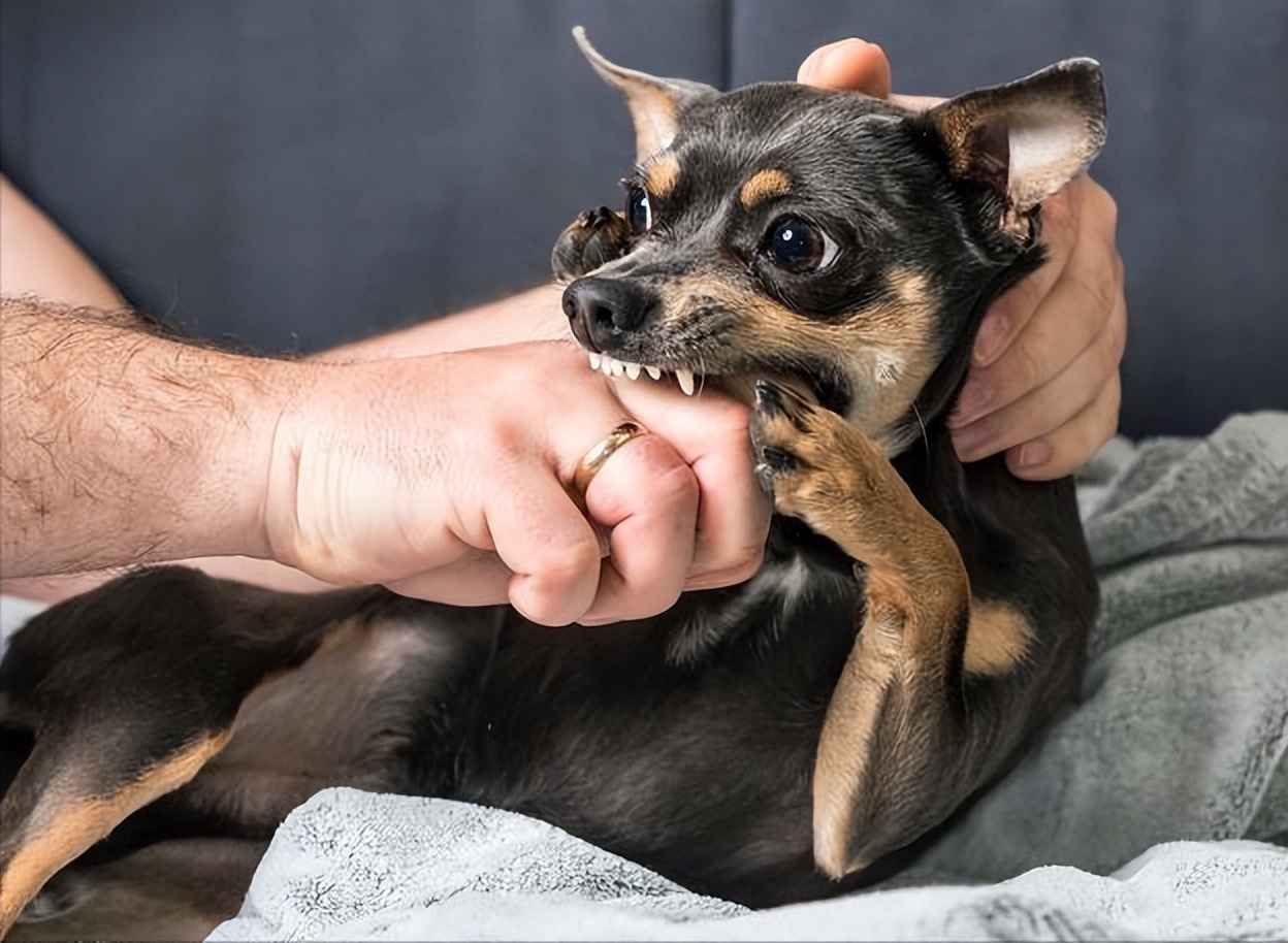 7岁男孩眼球被炸后融化,七岁男童眼睛秒被溶化