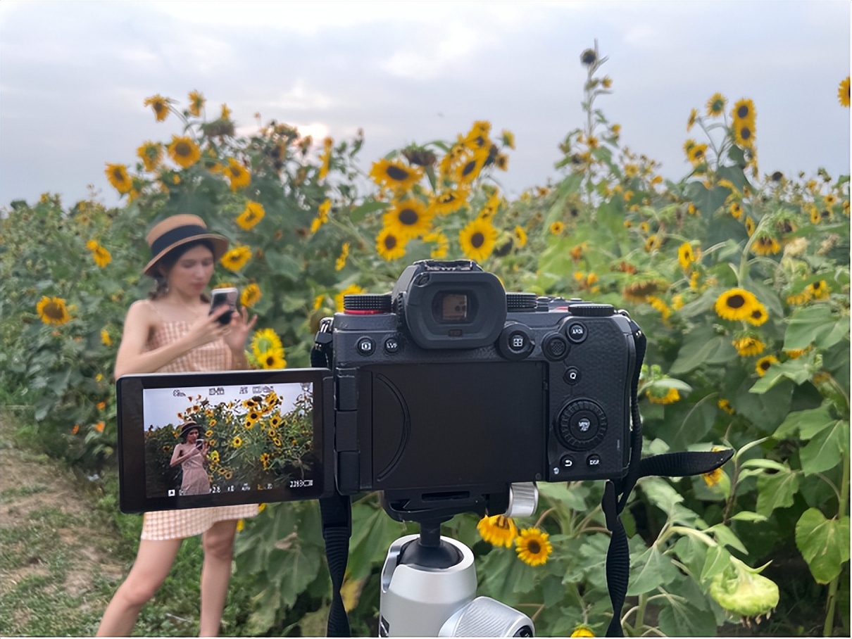 向日葵人像摄影后期技巧,拍向日葵人像参数设置