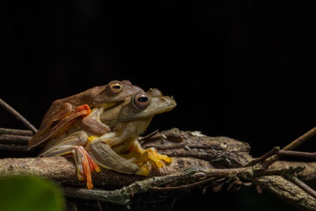 昆明七彩云南怎么样,七彩云南避暑家园