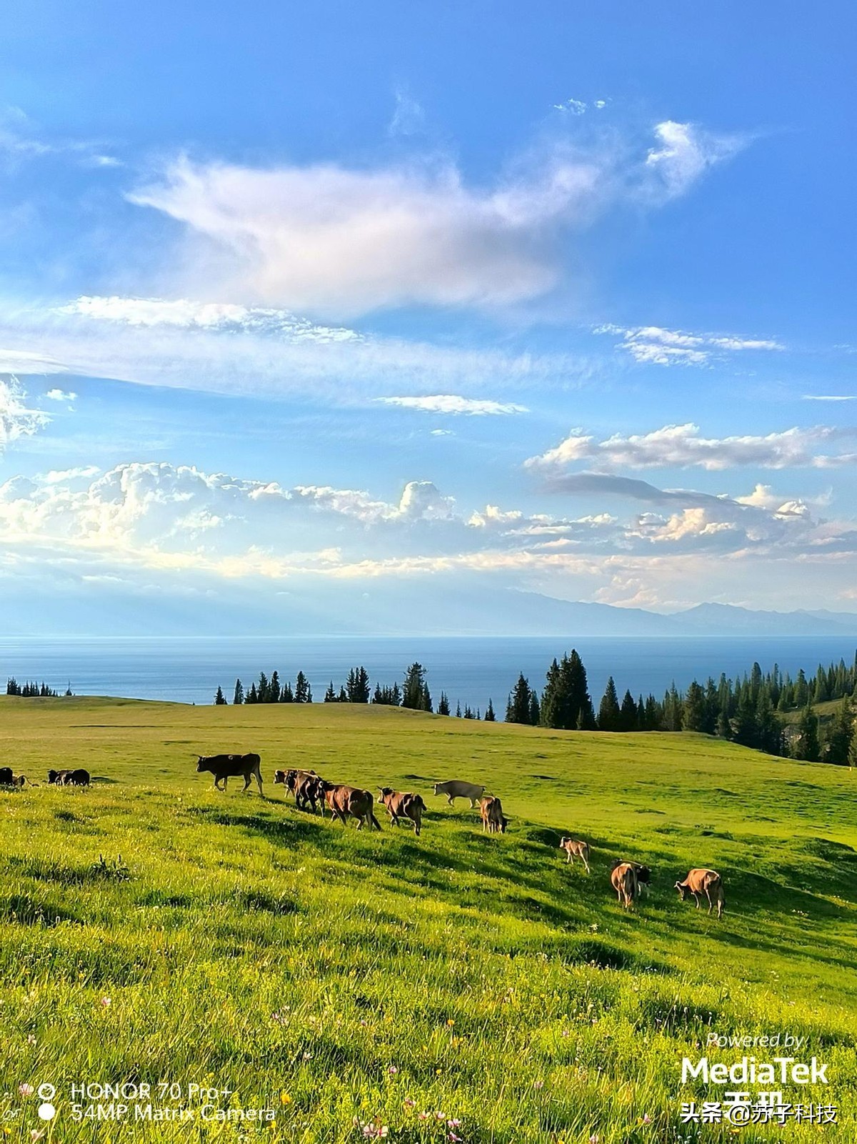 手机影像下半场就像足球赛用户真实需求是赢得比赛的绝杀技