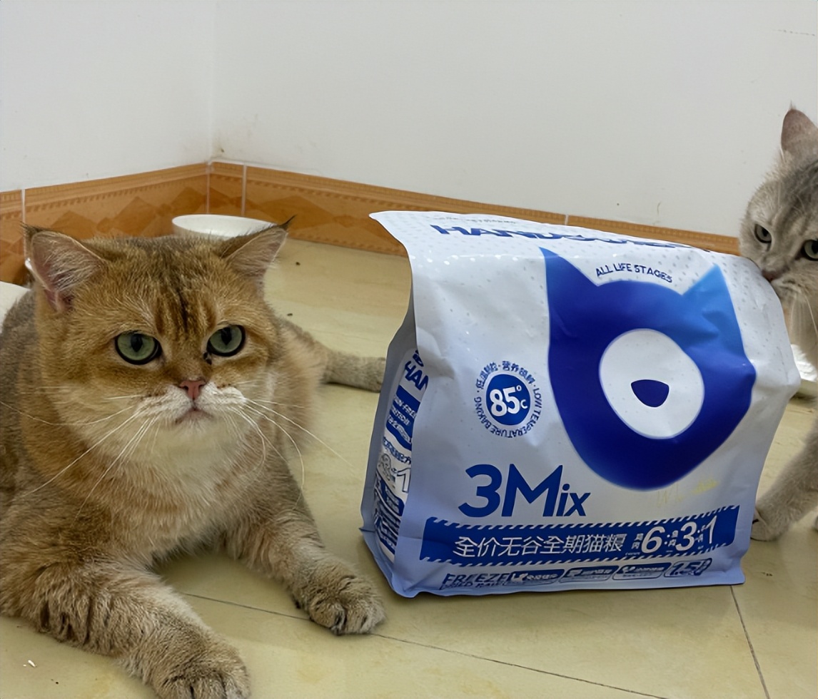 猫粮幼猫1-12月测评真实,宪宠幼猫全价猫粮测评