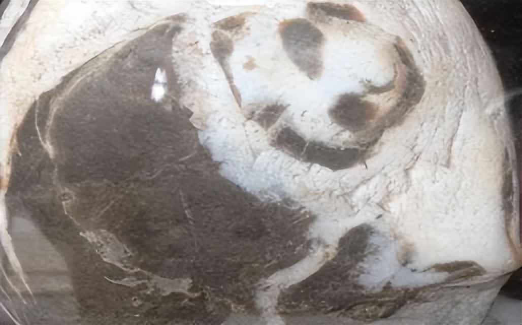 03年青岛男子捡到熊猫奇石，有人出价百万不愿卖，专家估值1.5亿