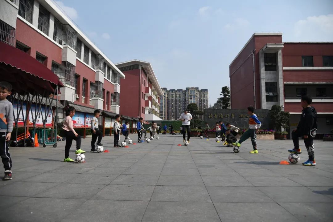 遇见周末济南,双流棠湖小学南区放学后托管