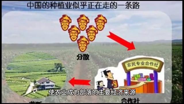 开天辟地始祖诞生,开天辟地万世之祖