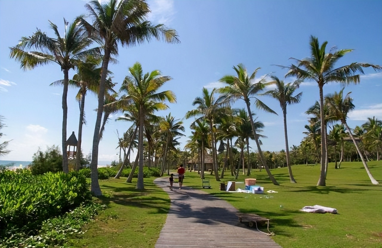 为什么海南旅游人数越来越少,现在海南游客越来越少