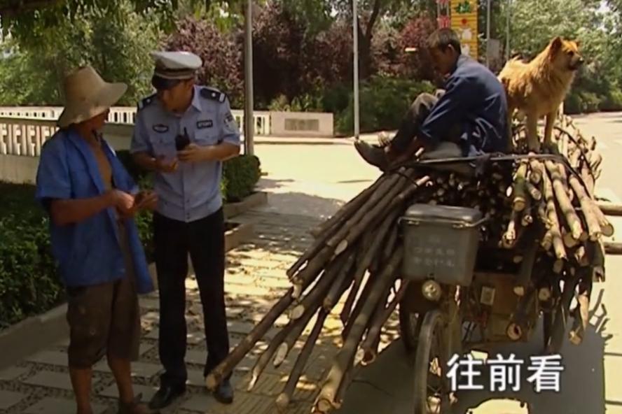 谭乔回应谭谈交通遭下架,谭乔事件引走热度