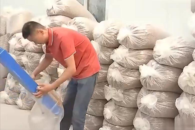 大哥用微波炉烤虫子，年收益高达3000多万元，他是怎么做到的？