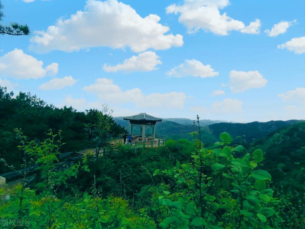 济南旅游景点排名前十旅游攻略,济南融创海洋和泉城海洋哪个好玩