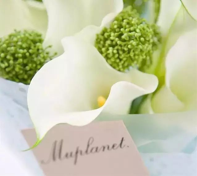 【一束鲜花祭故人】清明送花攻略-爱勤全球购-集团