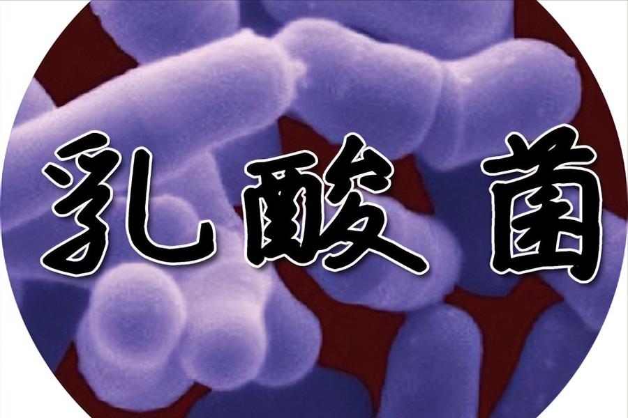 乳酸菌饮料哪种比较靠谱,你买的益生菌是真的吗