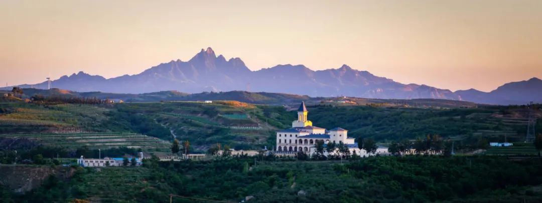 拉菲蓬莱珑岱酒庄正式开庄,拉菲蓬莱敦岱酒庄