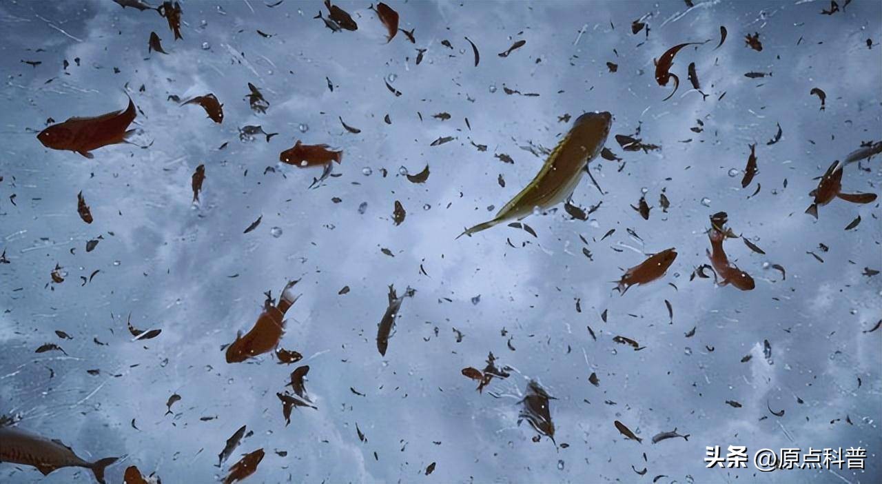 世界上七大离奇事件视频,世界各地发生的奇异现象