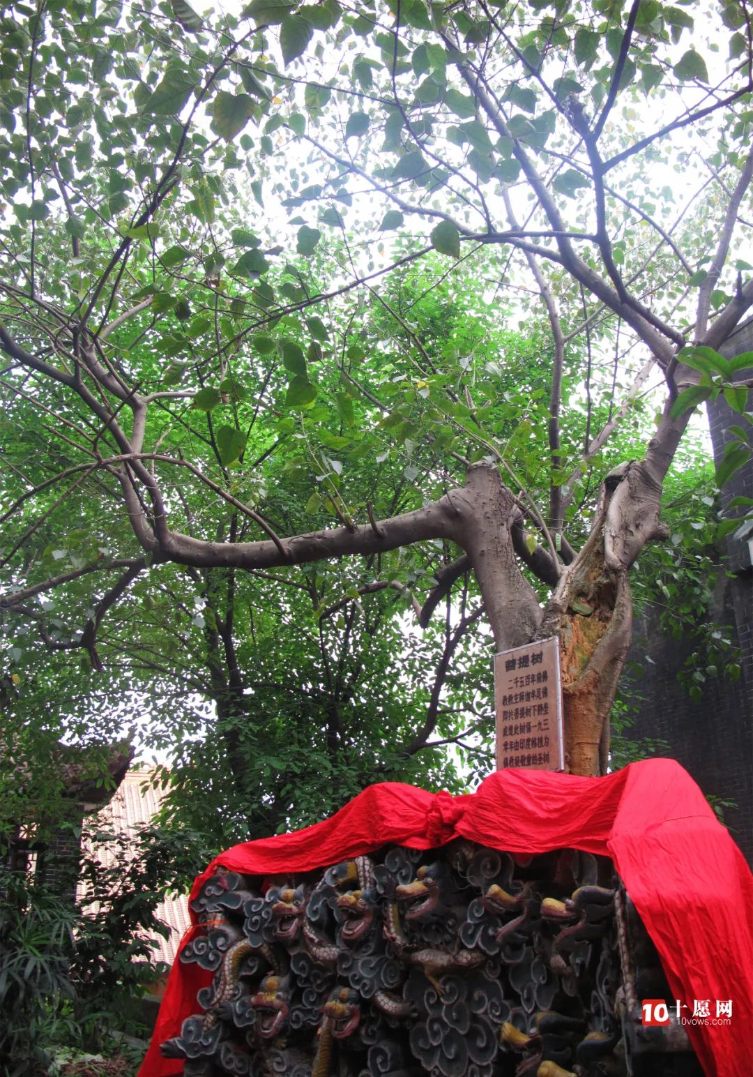 重庆慈云寺攻略,重庆慈云寺雄伟壮观