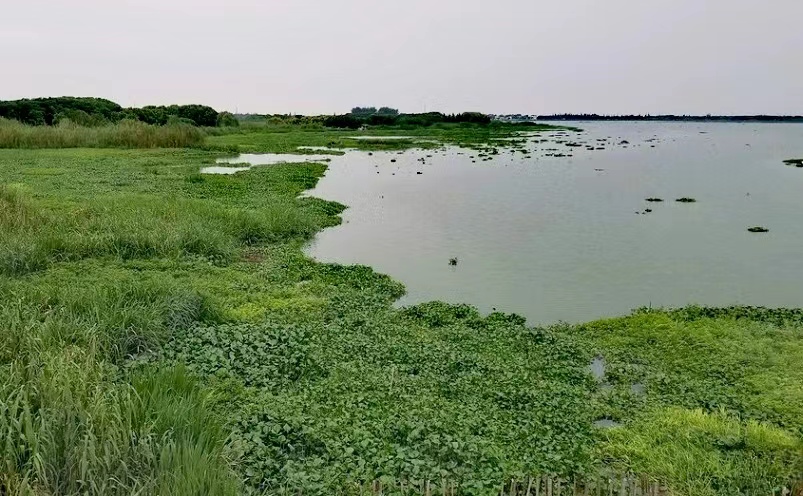昆山旅游十大必去景点排行榜,昆山游玩必去景点推荐