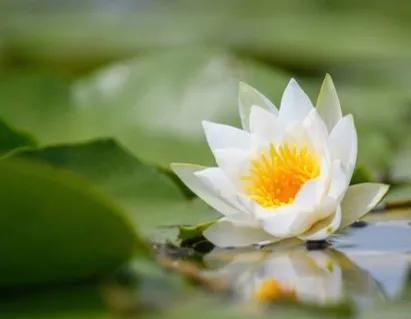 春树的人生格言书籍,人生书籍里的经典语录大全