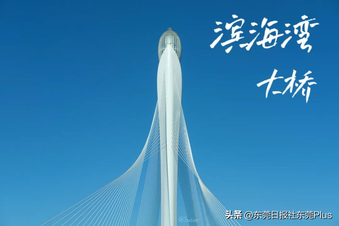 东莞可以看海和赏花的公园,东莞国庆看海游玩推荐