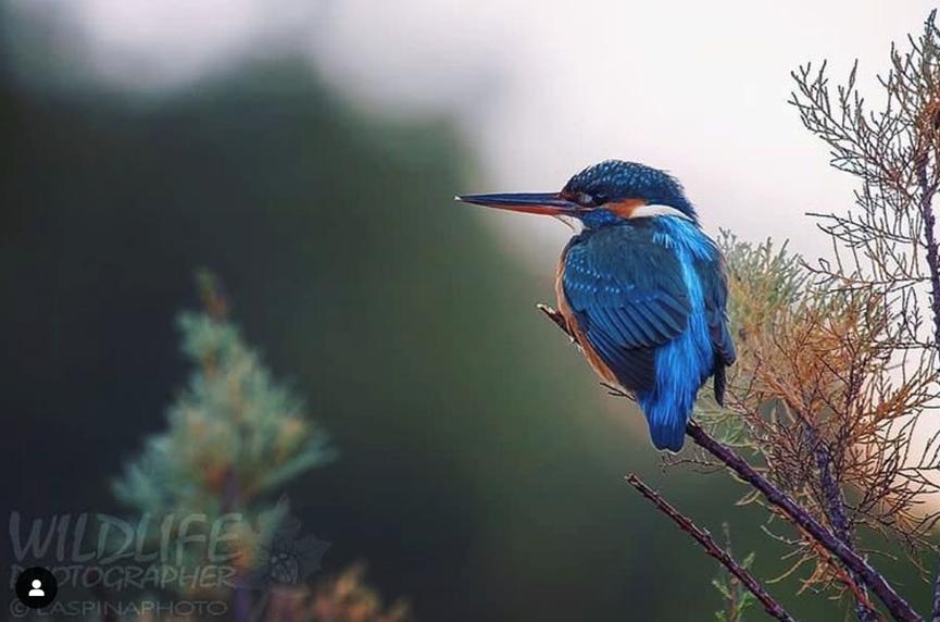 望远镜野外新手推荐,找风的望远镜怎么选
