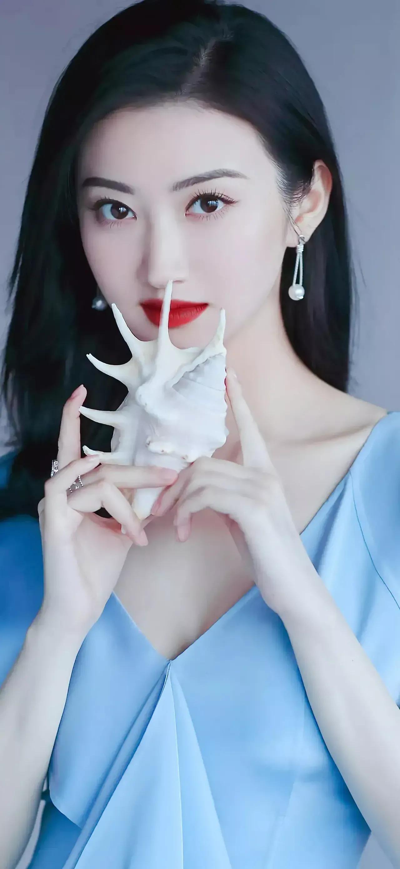 秋分时节鲜花绽放,秋分月季花摄影