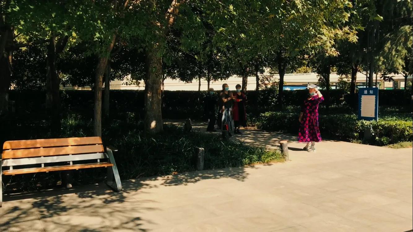 郑州八大古都是谁提的,郑州最好的商代遗址