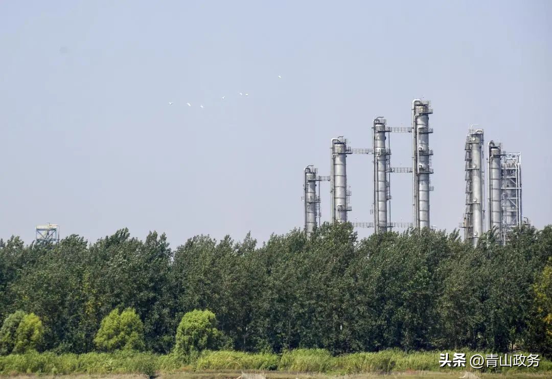 碳达峰金融新消息,碳达峰金融