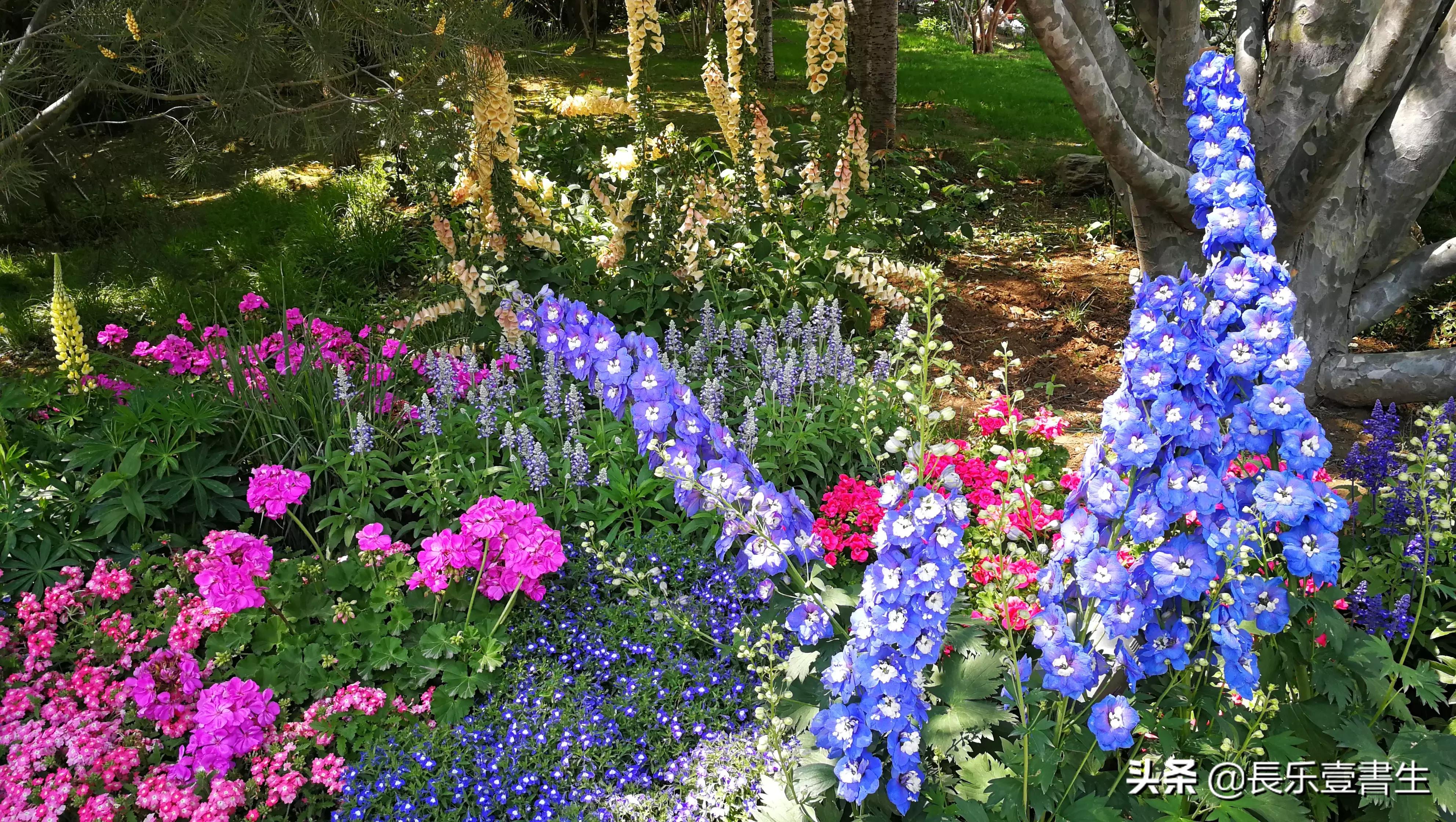 中国园林博物馆游览时间表,小众游玩强烈推荐北京园林博物馆