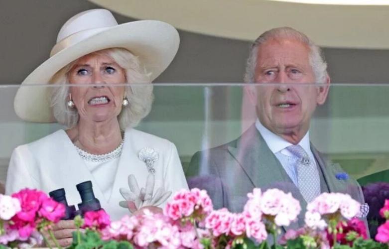 卡米拉惊艳瞬间,查尔斯卡米拉最新视频