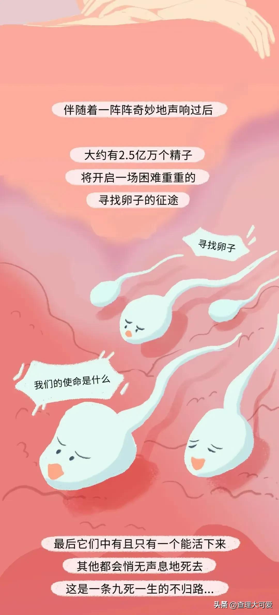 小蝌蚪找妈妈故事完整漫画,小蝌蚪漫画