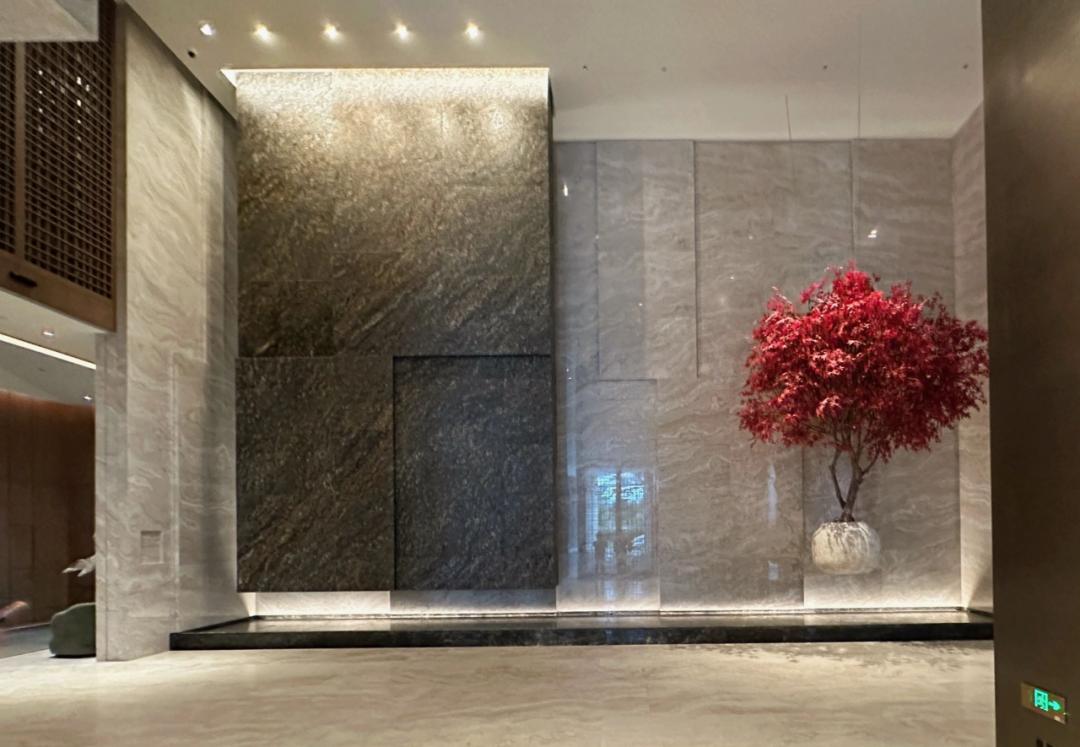 杭州康莱德酒店大厅效果图,深圳康莱德酒店拍摄