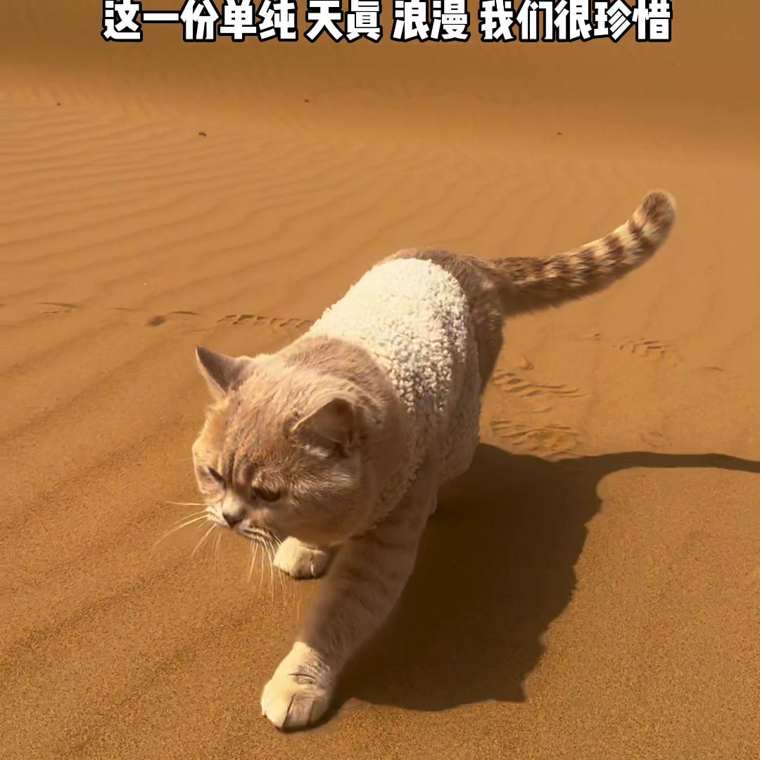 自驾全疆大环线攻略,30天全疆自驾游攻略