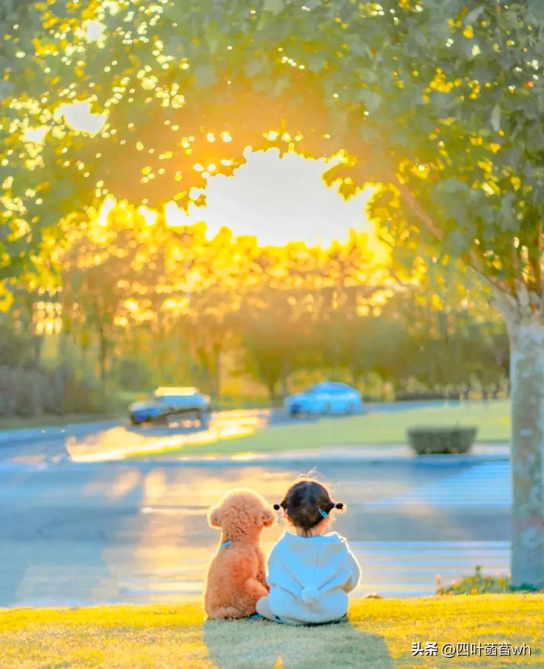 成年人结束关系的最好方法,如何彻底结束一段男女关系