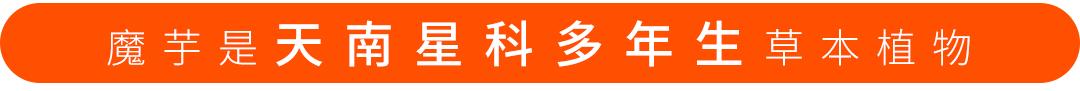 魔芋高纯膳食纤维,魔芋笋类膳食纤维