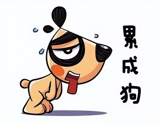 孩子太优秀都出国父母老了怎么办,出国的父母应该做些什么