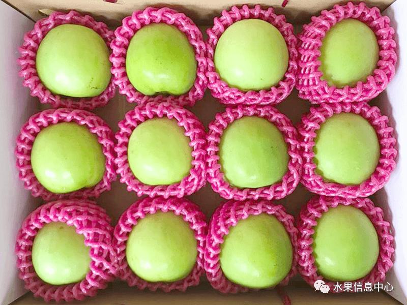 牛奶枣大青枣,牛奶枣和大青枣哪种好吃