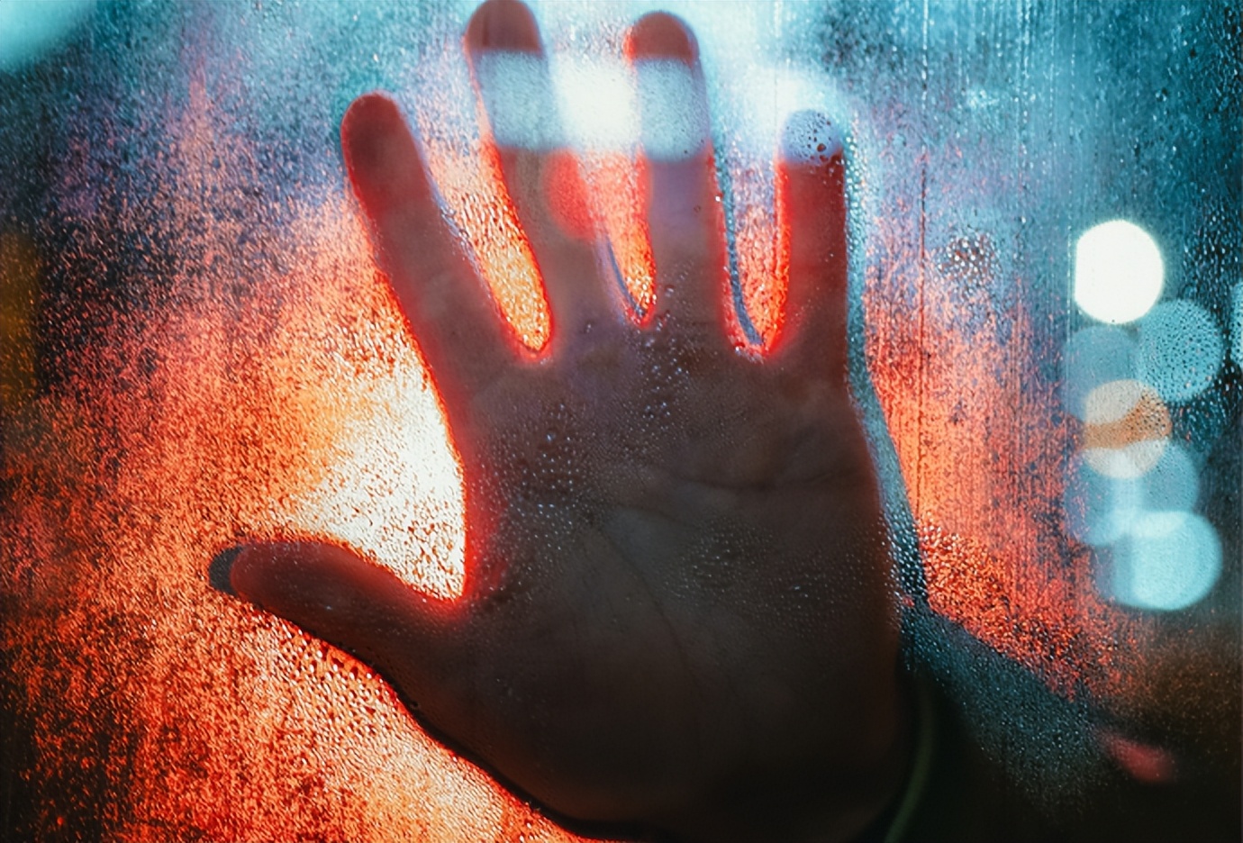 阳光城减持哪些股份,50家企业被减持