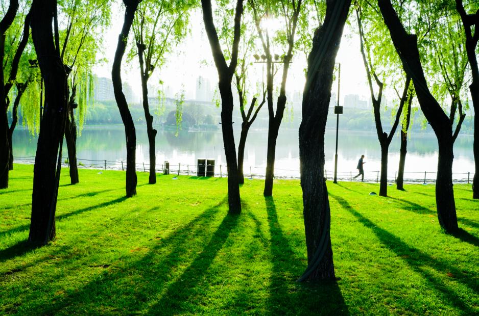 邂逅春天的浪漫！最有诗意的植物，为什么古代诗人都选柳树?