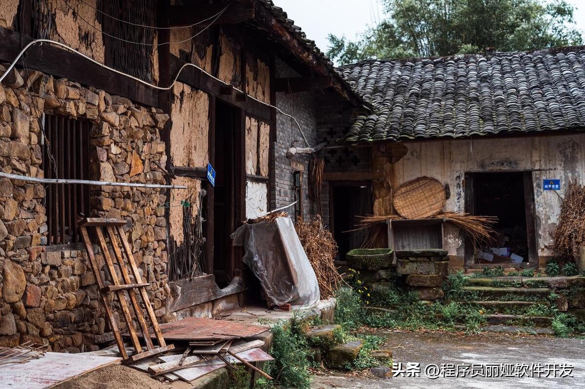 程序员的辛苦职业,程序员的未来出路