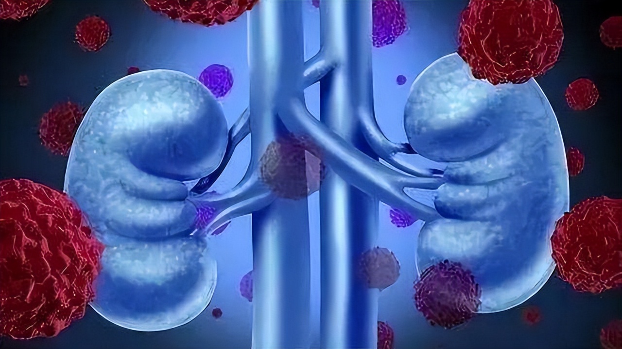 折耳根含一级致癌物，伤肾且致癌？以后还能不能吃？看完就明白了