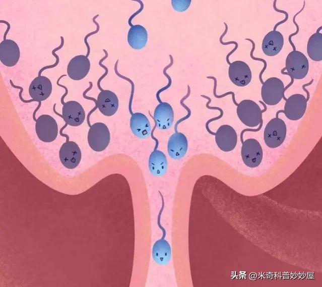 体力劳动能提高身体素质吗,男性体力活