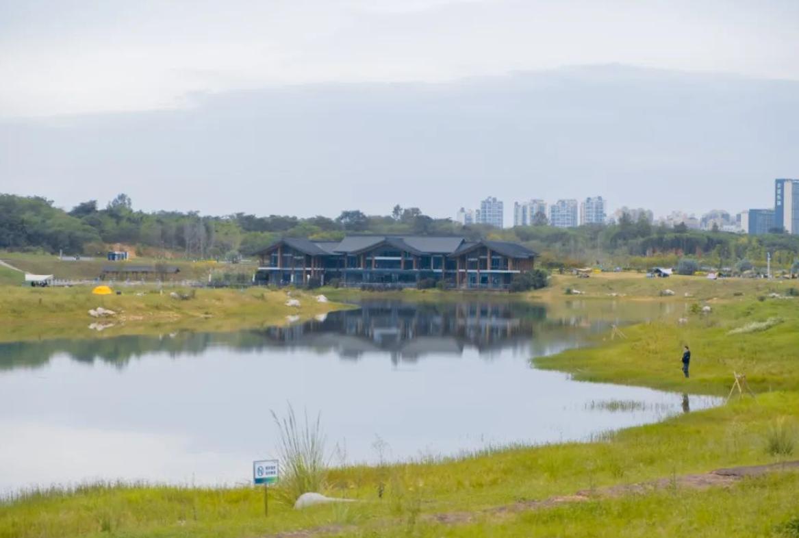 成都周边赏花露营地推荐,成都夏日露营地推荐