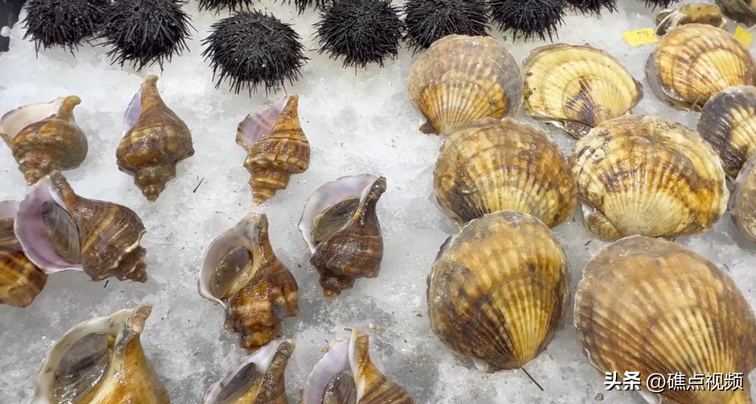 大连的朋友圈里，有飞毯、神灯、沙巴卡......