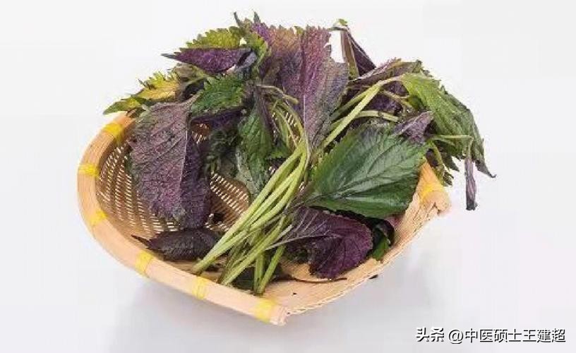补阳气祛寒湿中药代茶饮,简单三招补足阳气远离寒湿
