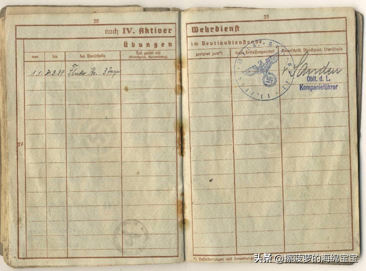 二战时德国军人的肩章,二战德国兵种领章