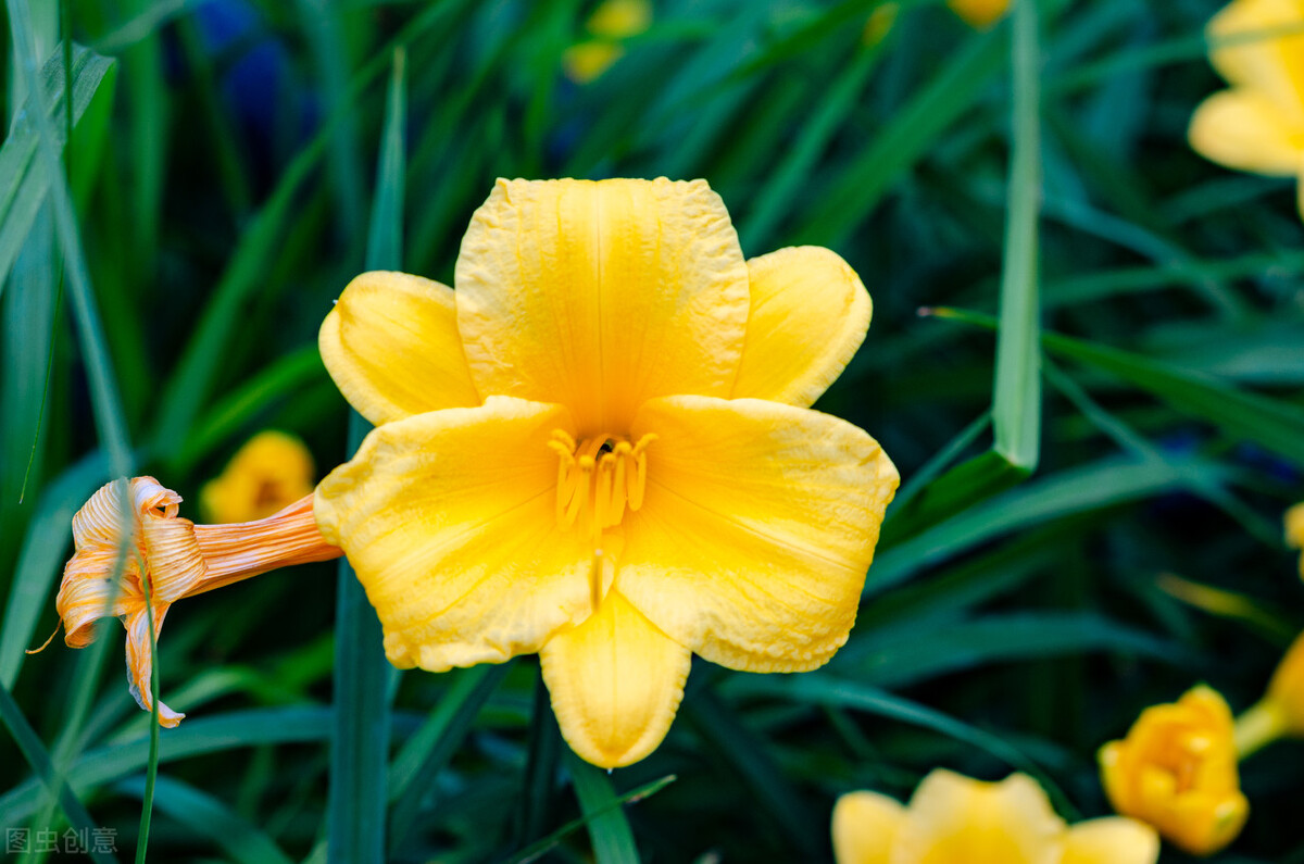 有言有味的下一句,有言有味是什么