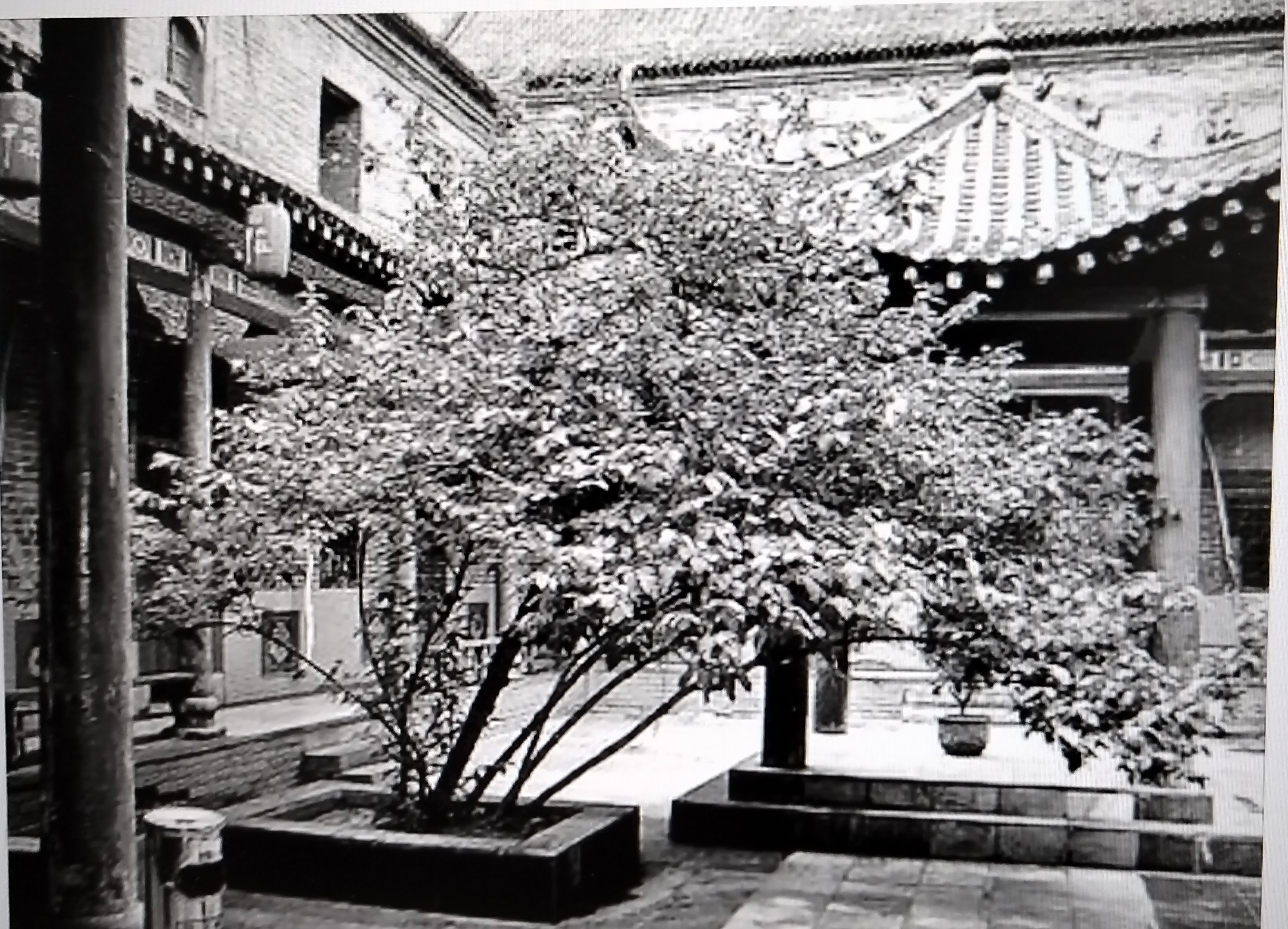 开封旧事,开封尉氏县的回忆