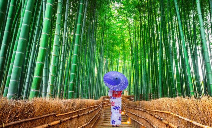 日本不安装暖气，最低气温零下30度怎么生活？看完后算是涨知识了