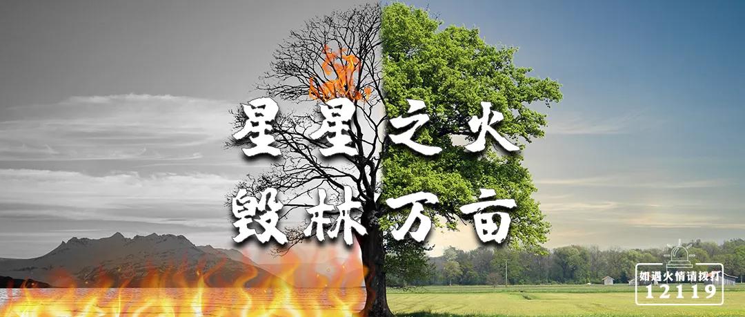 月亮湖艺术湾亲子乐园清凉一夏,白鹭湖月亮湖亲子乐园
