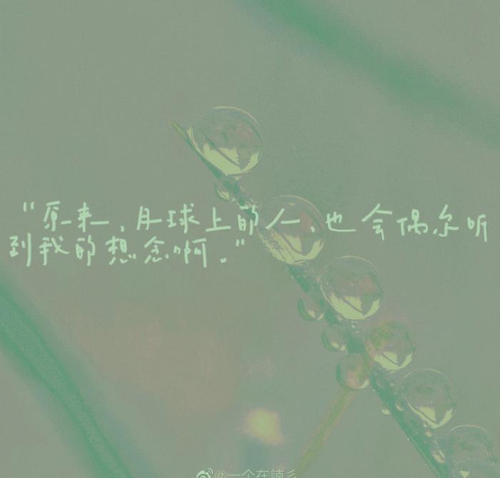 明知不是当时但今夜风声太过相似只恨不能诛月色美得像一种凌迟