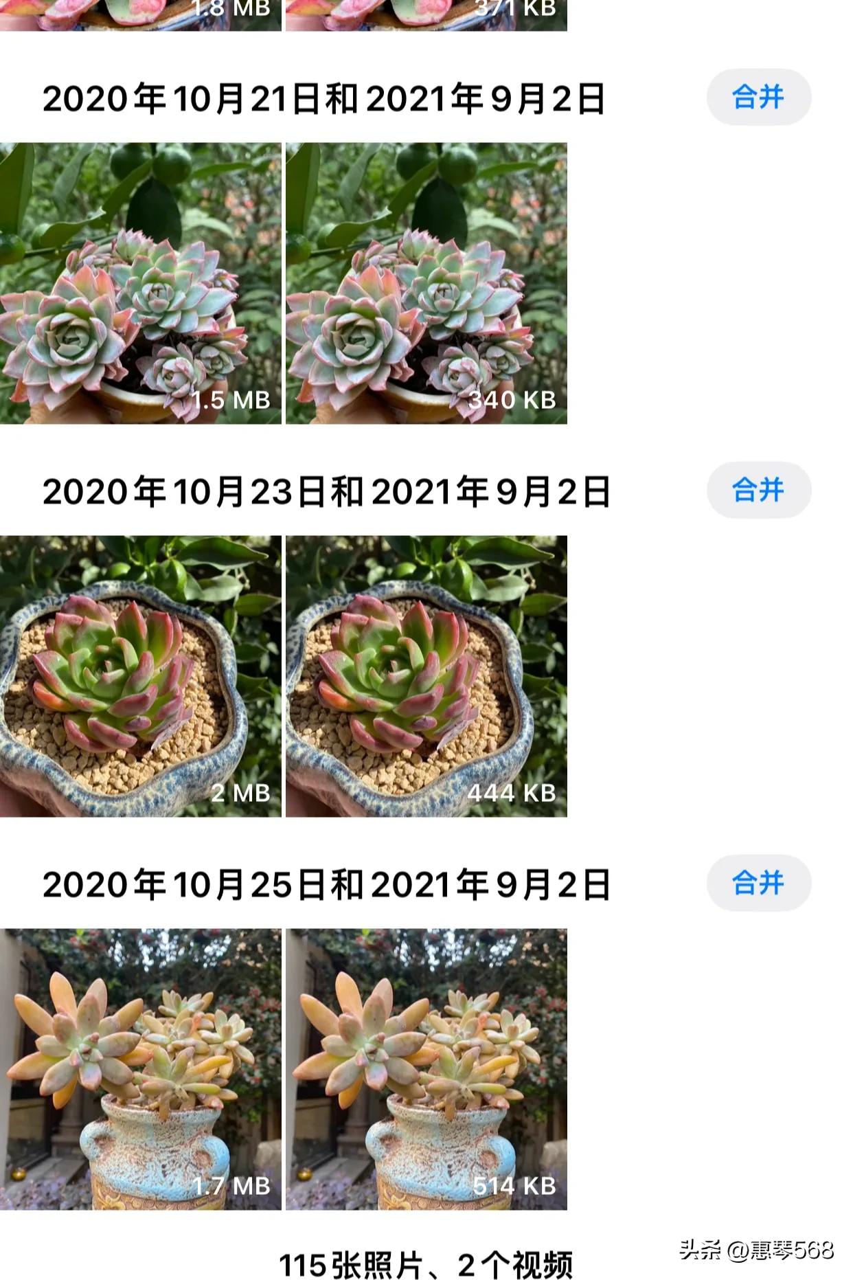 我的照片全部删了怎么找回来,我的照片图库在哪里