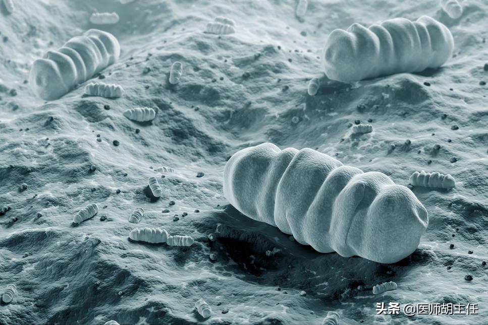 肠道有息肉会出现什么症状,肠道长了息肉有什么症状