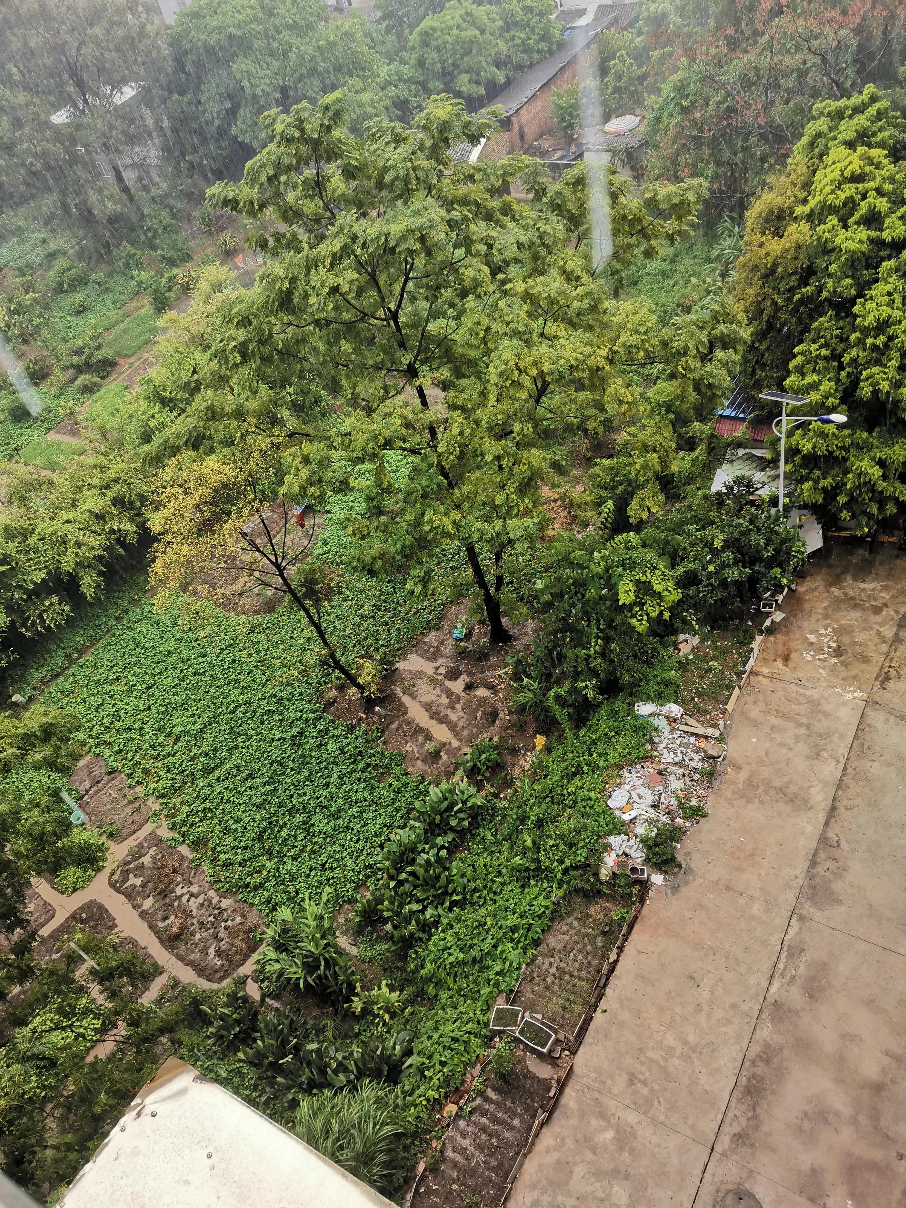 想要的生活副歌版,想要的生活女声版完整版